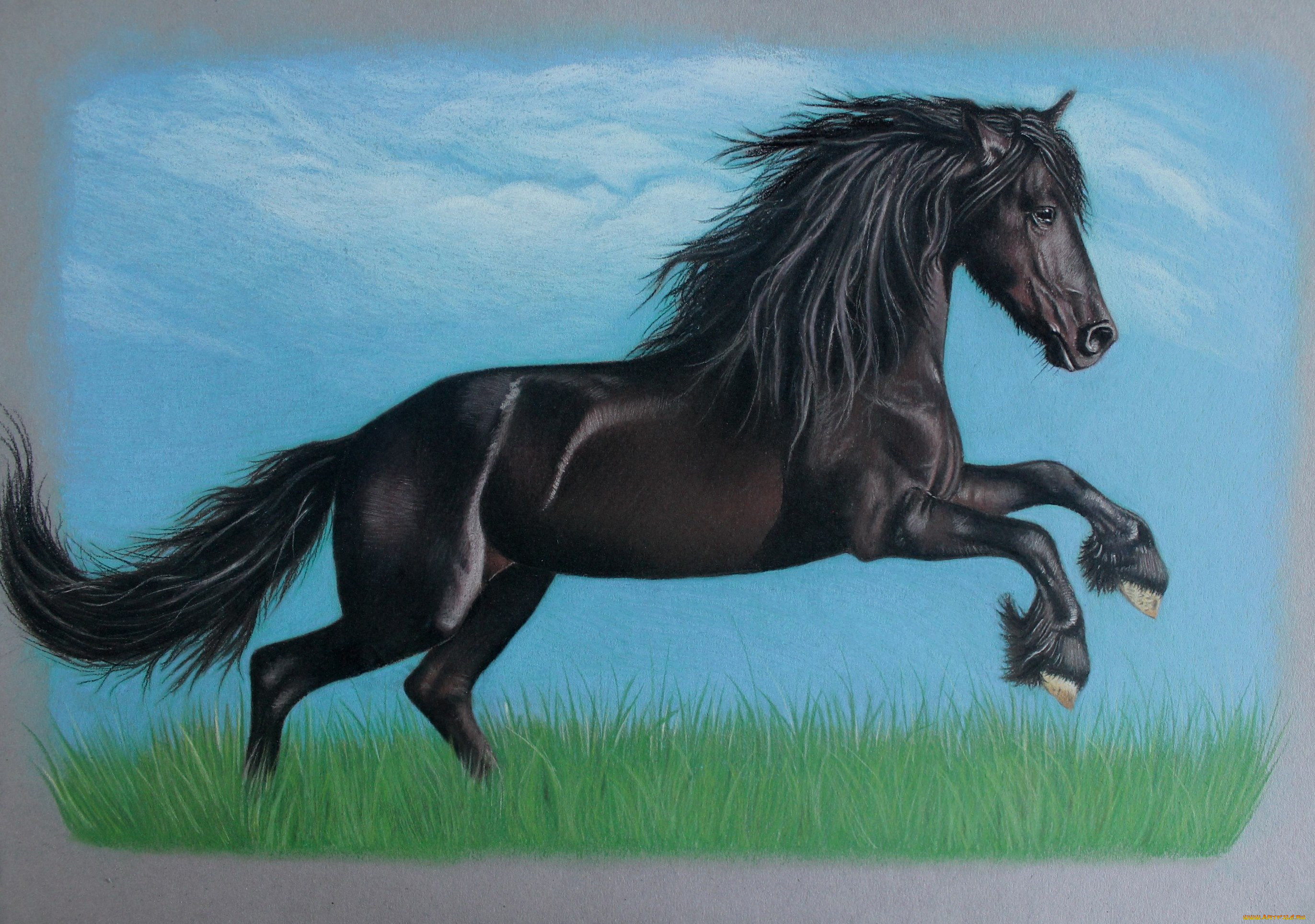 Конь мой вороной. Вороной конь вороной конь. Черный конь. Лошадь рисунок. Арты лошадей.
